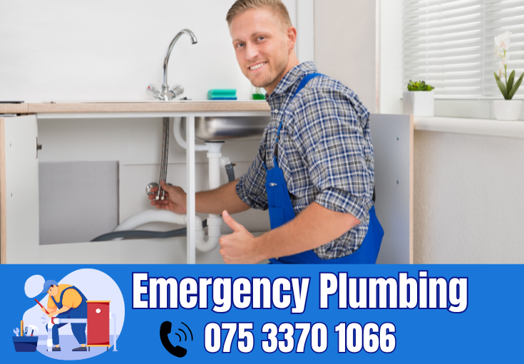  plumber Milton