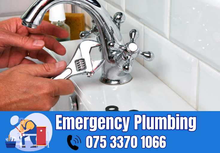  plumber Perry Street