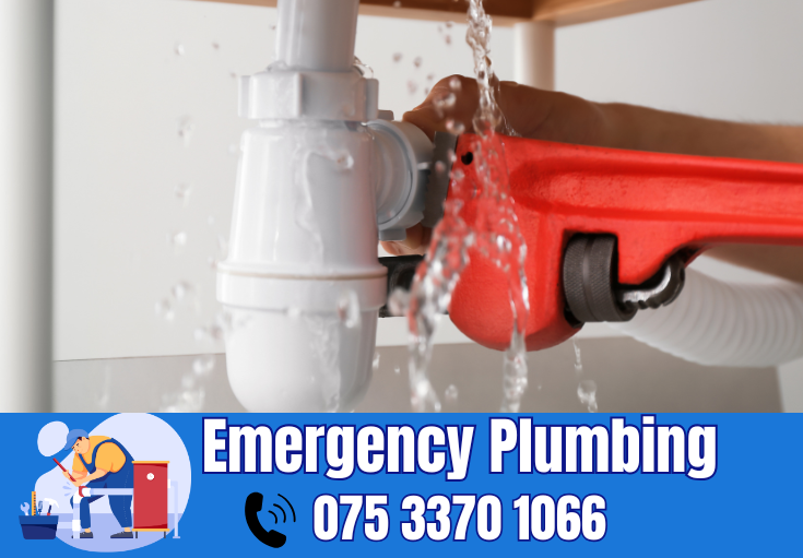  plumber Rosherville