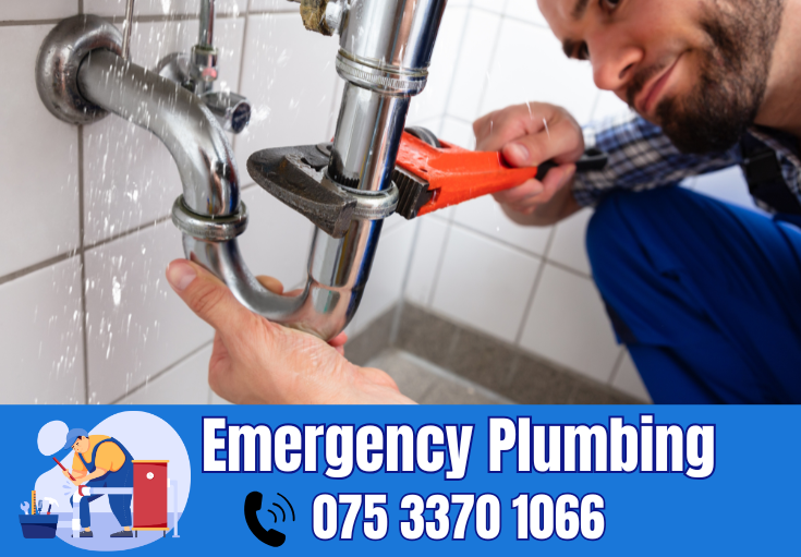  plumber Painters Ash